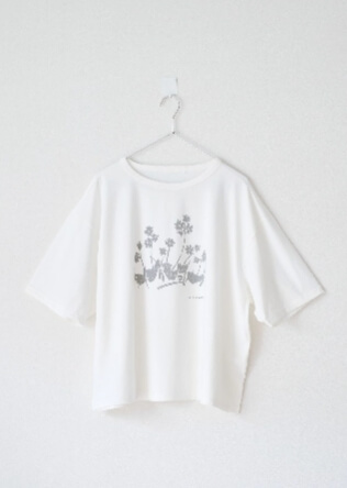 花ごよみTシャツ ハクサンコザクラ