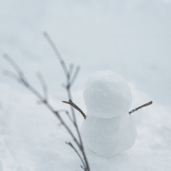 snow image