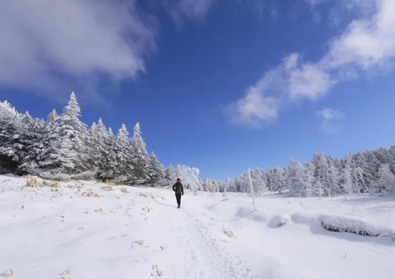 MASAAKI MITA Hiker`s Story 写真