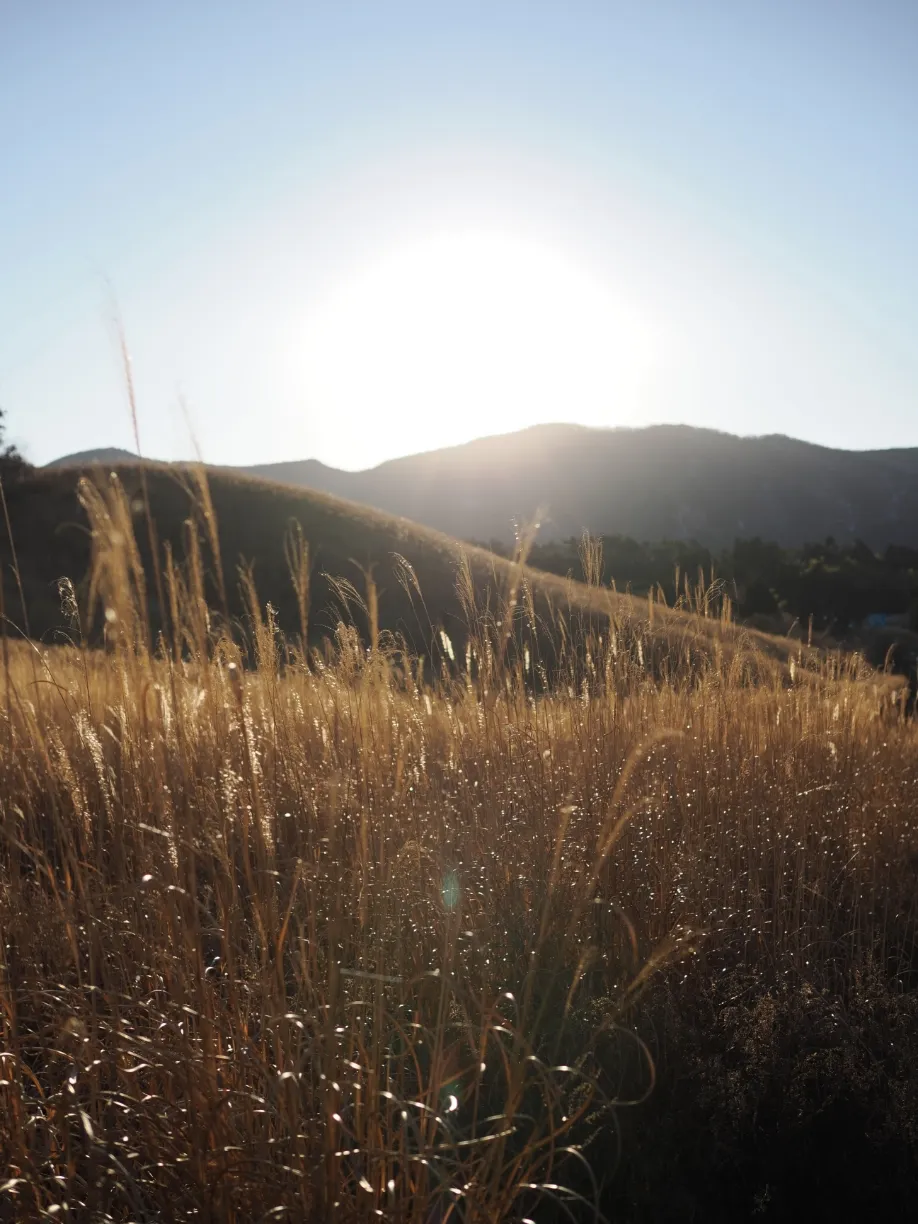 YURI YOSUMI Hiker`s Story 写真