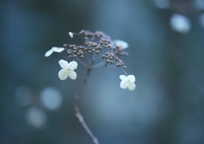 YURI YOSUMI Hiker`s Story 写真