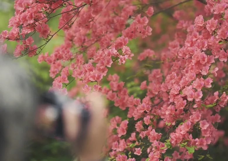 MIKA INOUE Hiker`s Story 写真