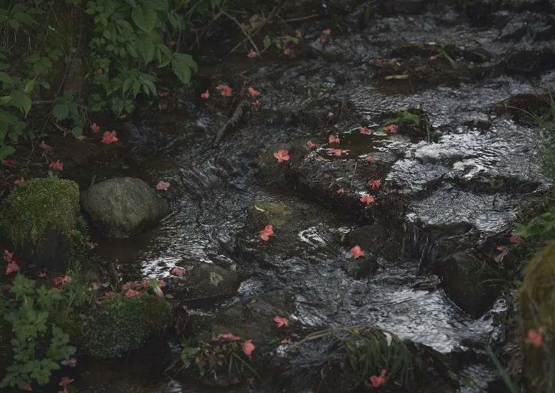 MIKA INOUE Hiker`s Story 写真