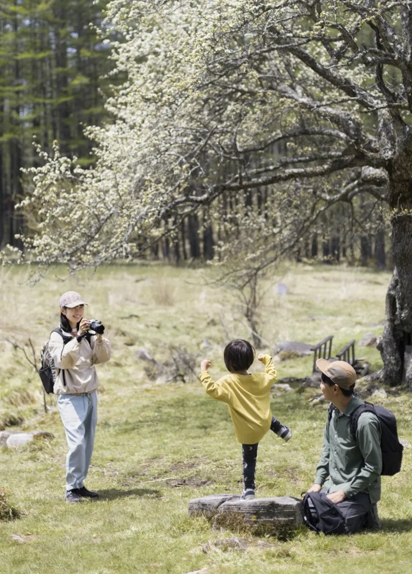 Midori Sanada Family キービジュアル