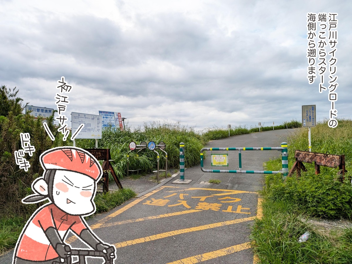 江戸川サイクリングロードを走る様子