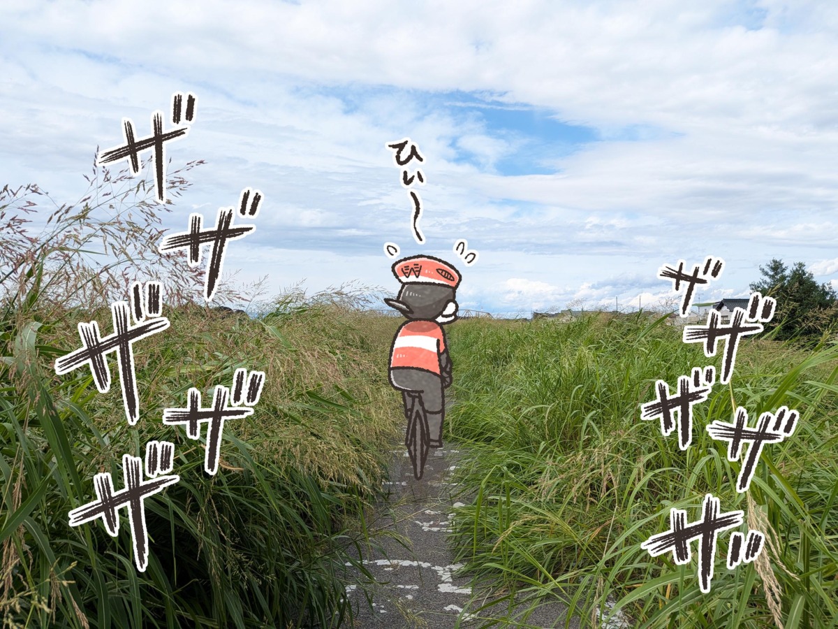 細い道を譲り合いながら走る