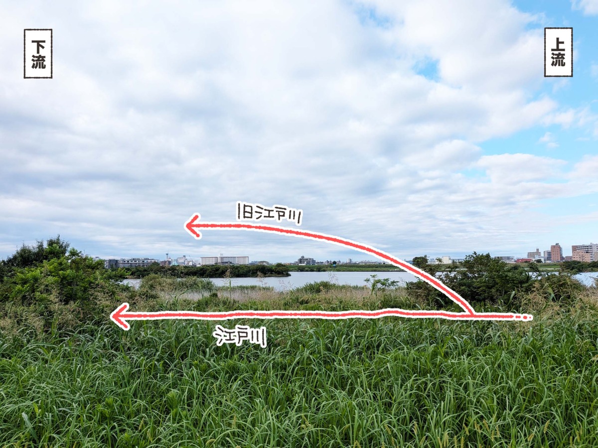 江戸川と旧江戸川の分岐