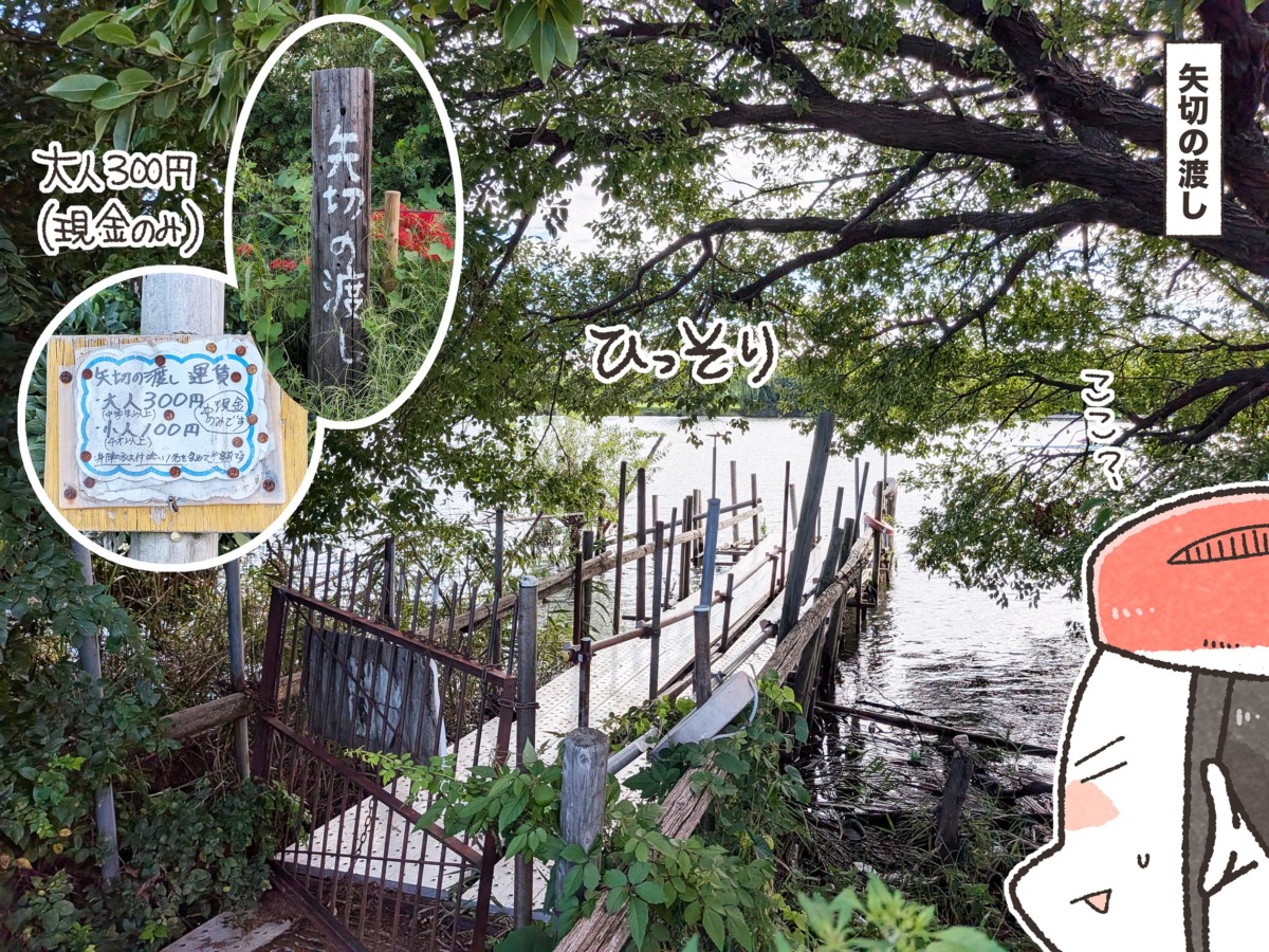 矢切の渡し周辺