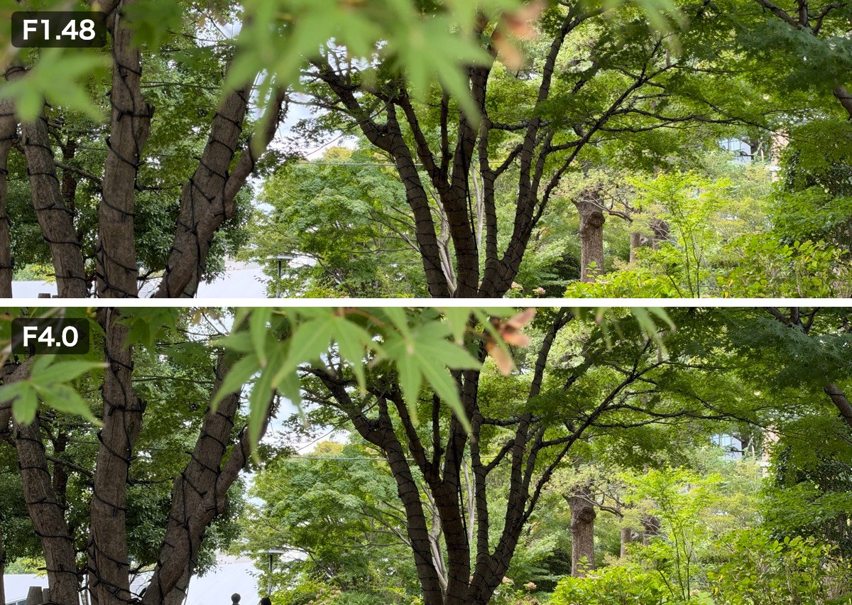 手前のもみじをF1.48とF4.0で撮り比べた写真